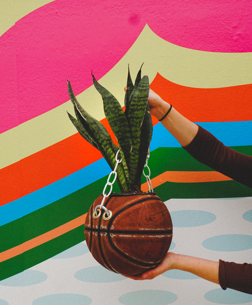 basketball plant hanger Recycled Basketball Planter