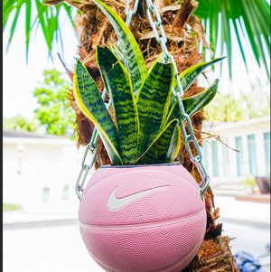 
            
                Load image into Gallery viewer, Light Pink Nike Upcycled Basketball Planter
            
        