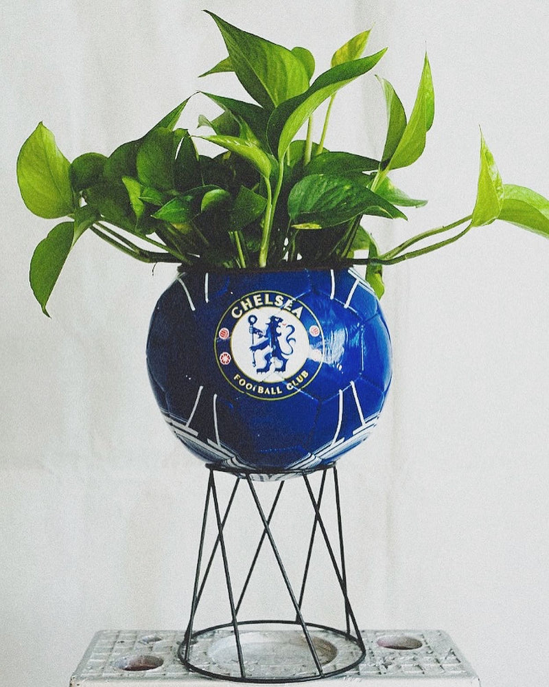 
            
                Load image into Gallery viewer, Chelsea FC Custom Planter
            
        