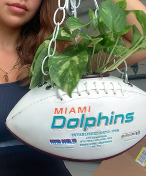 
            
                Load image into Gallery viewer, Dolphins Football Planter
            
        