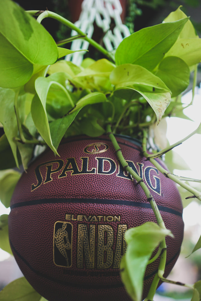 Classic Brown Spalding Basketball Planter – Upcycle Planet